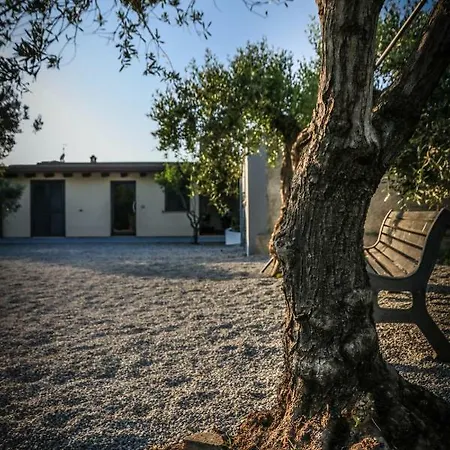 Holiday home Casale Mediterraneo *